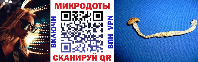 Купить  Острогожск  Псилоцибиновые грибы Magic Shrooms 